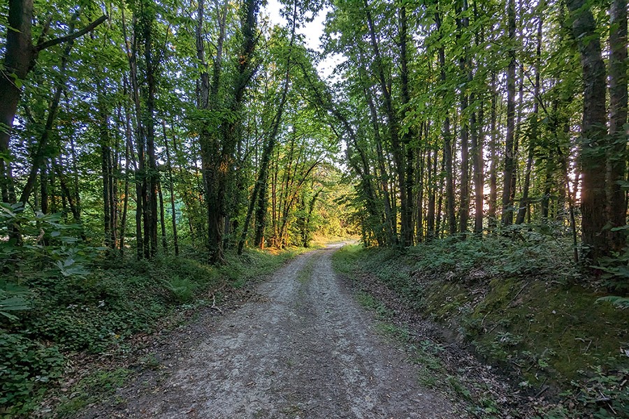 Balade contée à Neuillé
