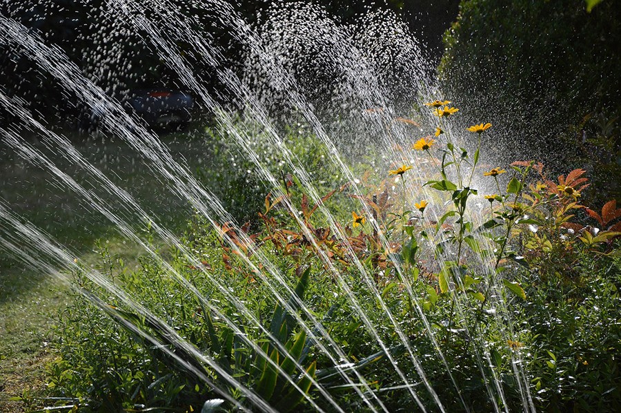 Restriction de l'eau dans le Maine et Loire