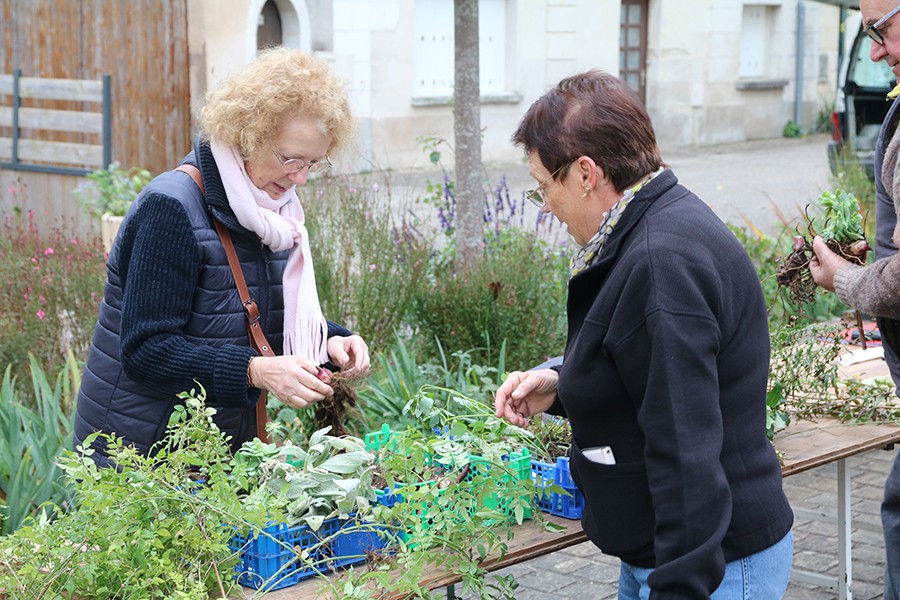 Troc plantes de Printemps