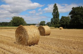 Réunion publique pour le Comice agricole