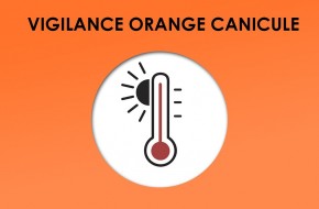 Vigilance orange canicule