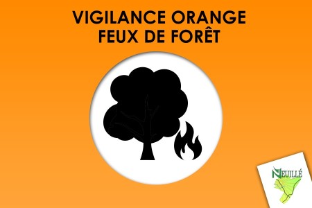Risque &eacute;lev&eacute; de feux de for&ecirc;t en Maine-et-Loire