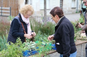 Troc plantes de Printemps