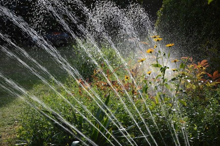 Restriction de l'eau dans le Maine et Loire