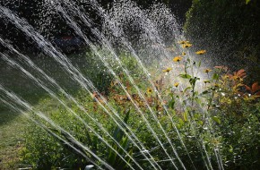 Restriction de l'eau dans le Maine et Loire