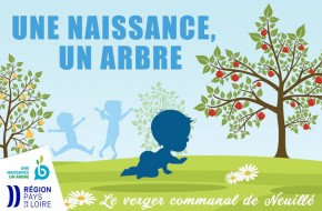 Une naissance, un arbre !