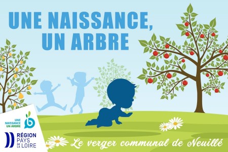 Une naissance, un arbre !