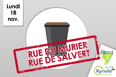 Ramassage exceptionnel des poubelles