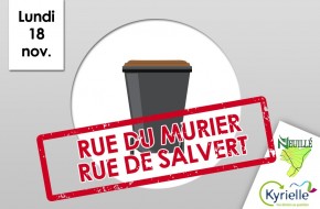 Ramassage exceptionnel des poubelles